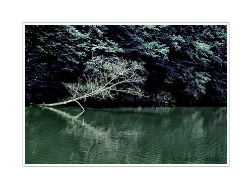 Zelená řeka — foto 2