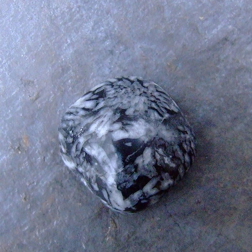 Chryzantémový kámen, kabošon č .560 — foto 2