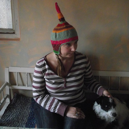 Anténa strakatá — foto 2