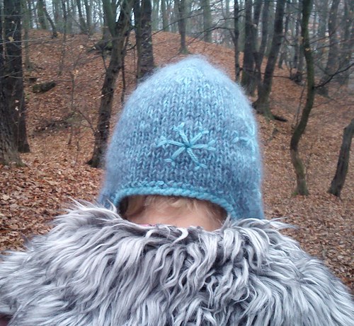 Modrošedá ušatá — foto 3