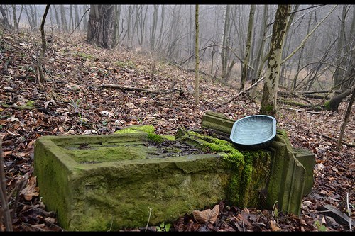 Tác tyrkys — foto 3