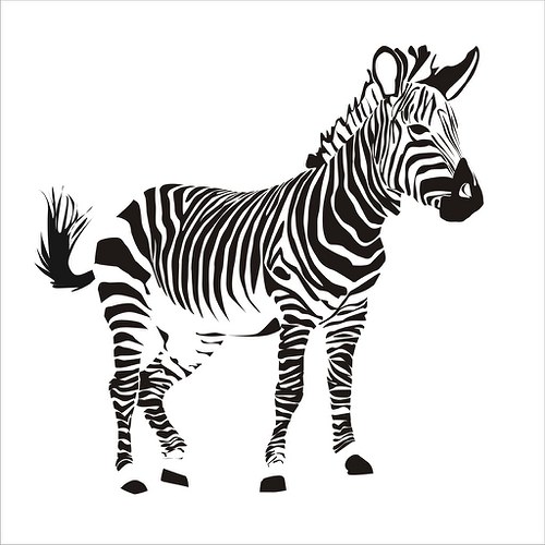Zebra — foto 2