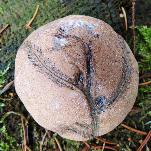 Řebříčkový kamínek — foto 3