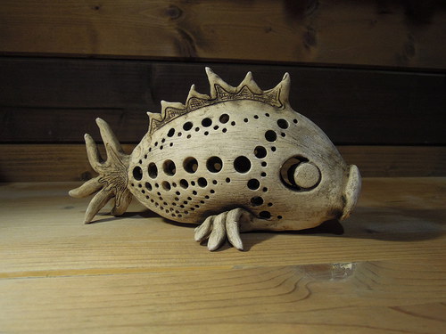 Krajkový kapr — foto 2