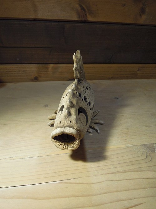 Krajkový kapr — foto 5
