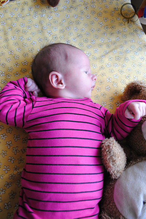Růžové s černým pruhem, vel. 0-3 M — foto 2