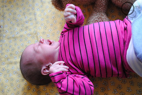 Růžové s černým pruhem, vel. 0-3 M — foto 3