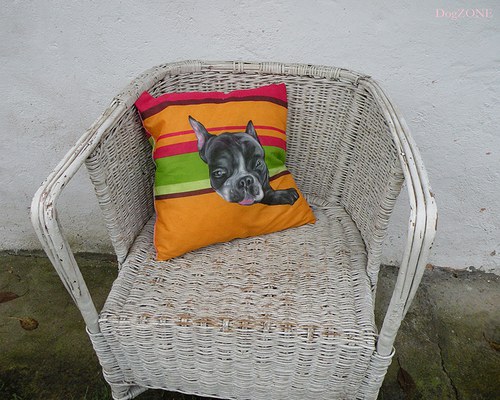 Buldíííí......polštářek — foto 3