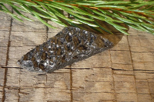 Tektit, meteorit č. L8313 — foto 2
