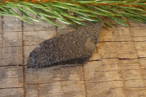 Tektit, meteorit č. L8313 — foto 3