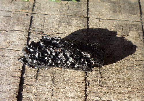 Tektit, meteorit č. L8327 — foto 2