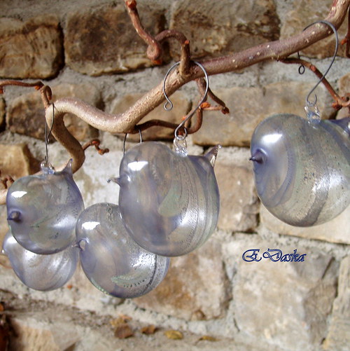 Jsme modro - zelení — foto 3