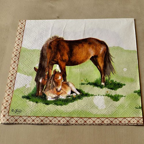 Ubrousek - Klisna a hříbátko — foto 2