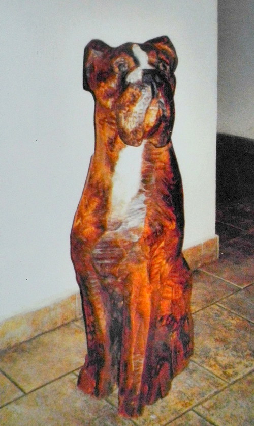 Tady hlídám já — foto 2