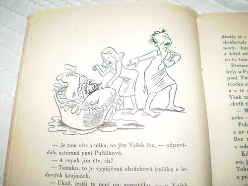 Pučálkovic Amina - J.Plachta-O.Sekora — foto 4