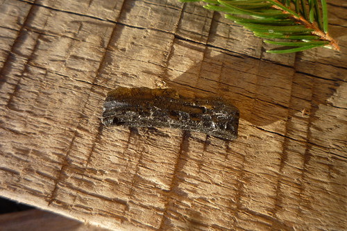 Tektit, meteorit č. L8434 — foto 2