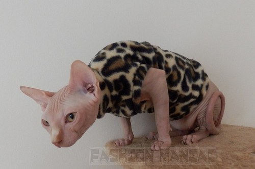 Mikča pro Sphynxe- zvířecí vzor — foto 4