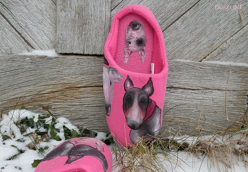 Bullie...bačkůrky — foto 2