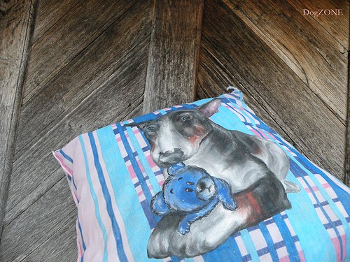 Bullie......polštářek — foto 3