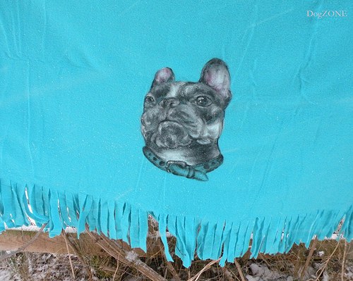 Bulďa...deka — foto 5