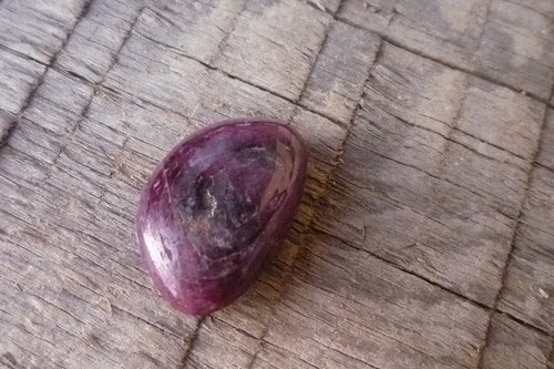 Rubín L8546 — foto 2