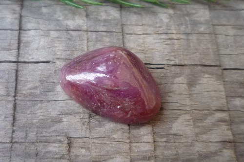 Rubín L8562 — foto 2