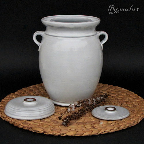 Kvašák bílý (2,4 l) — foto 2