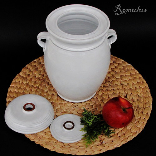 Kvašák bílý (2,4 l) — foto 3