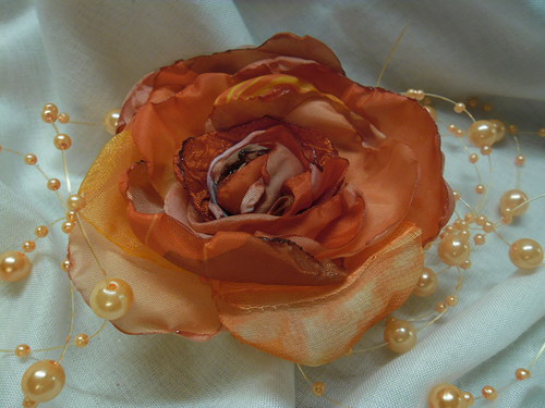 Rosa Pommidora — foto 2