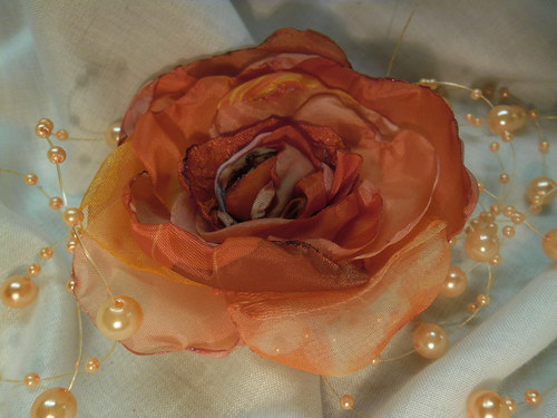 Rosa Pommidora — foto 3