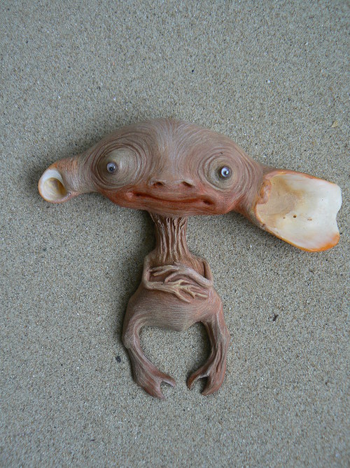 Křovínek veleuchý — foto 2