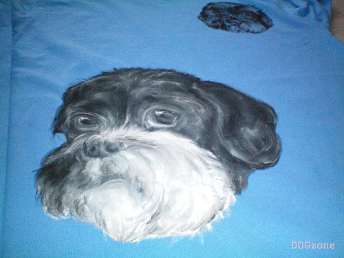 Fido.. NA PŘÁNÍ — foto 2