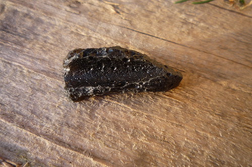 Tektit, meteorit č. L8666 — foto 3