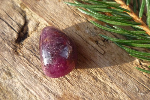 Rubín L8696 — foto 2