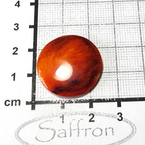 Spondylus - kabošon č.11 — foto 2