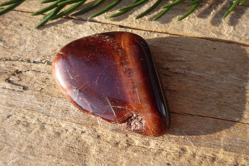 Býčí oko č. L8733 — foto 2