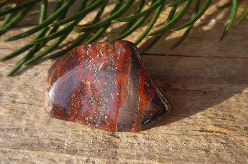 Tygří ruda č. L8752 — foto 2