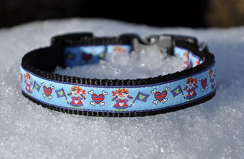 Obojek pirátský 25 - 35 cm — foto 4