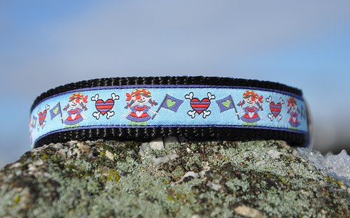 Obojek pirátský 25 - 35 cm — foto 5