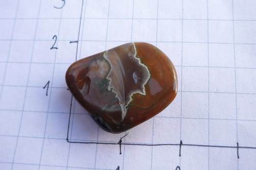 Ryolit L8823 — foto 3