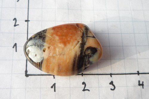 Dřevo zkřemenělé č.8859 — foto 3
