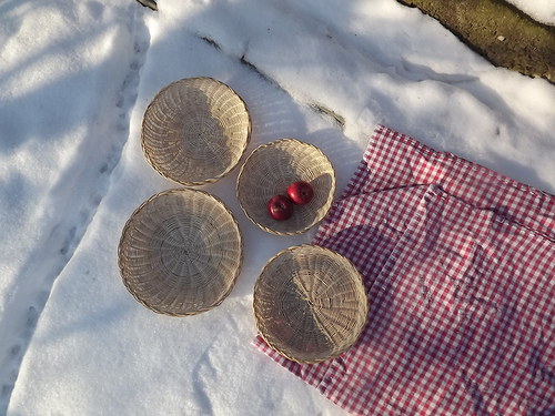 Sada ošatek — foto 3