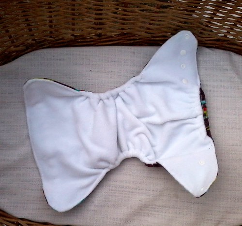 Dinouši kapsová — foto 3