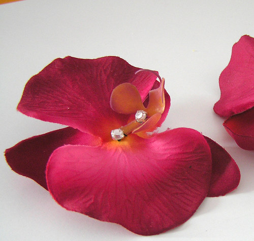 Orchideje na botky — foto 2