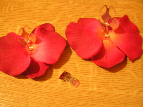 Orchideje na botky — foto 3