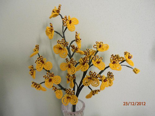 Oncidium orchidej-zápich — foto 2