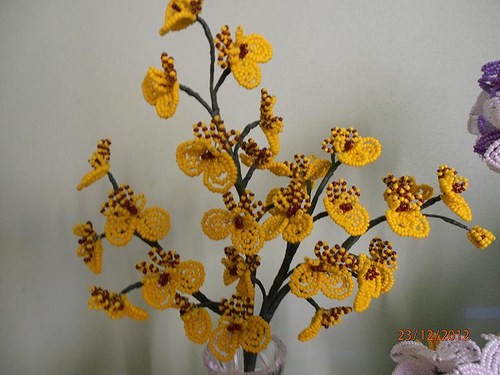 Oncidium orchidej-zápich — foto 4