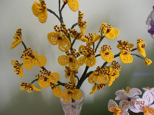 Oncidium orchidej-zápich — foto 5