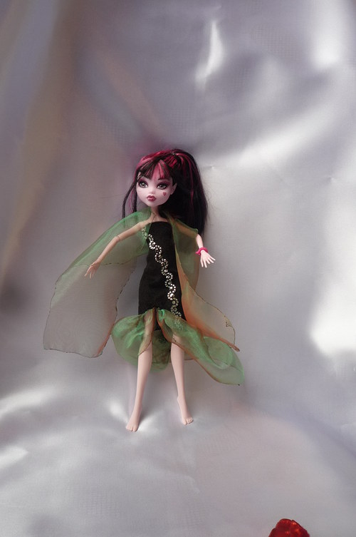 Na ples pro Monster High — foto 2