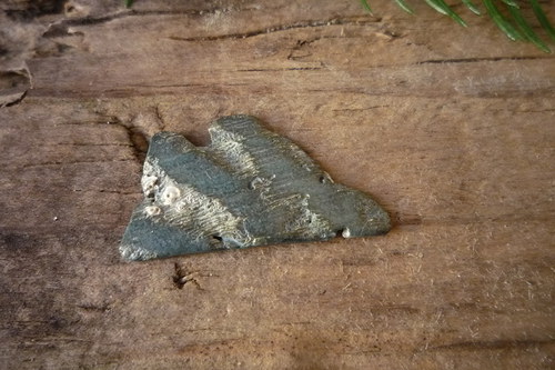 Paua mušle č. L9054 — foto 3
